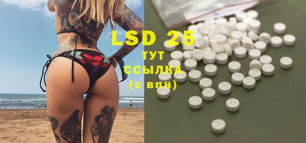 индика Алексин