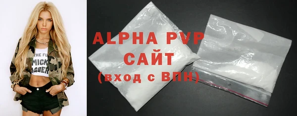 индика Алексин