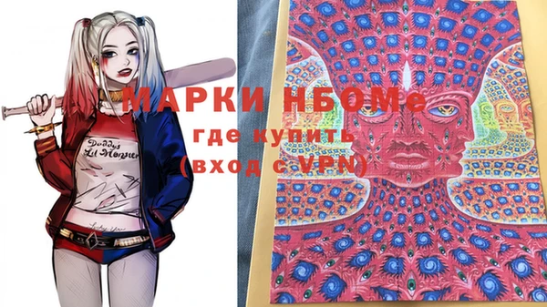 индика Алексин