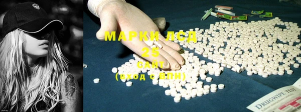 индика Алексин