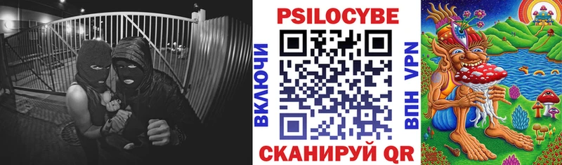 Галлюциногенные грибы мицелий  купить  цена  Всеволожск 
