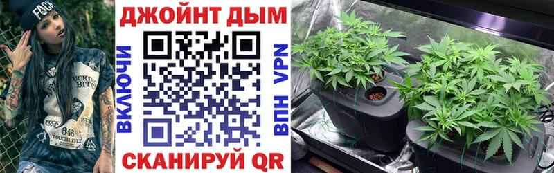 продажа наркотиков  Всеволожск  Бошки Шишки SATIVA & INDICA 